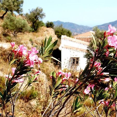 Casa Canillas - For Solo Travelers Or Small Groups Of 4 To 6 People Canillas de Aceituno エクステリア 写真